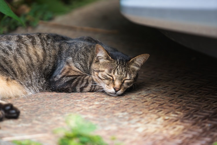ちょっと一休み ちょっと一休み