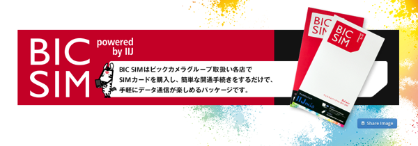 BIC SIMの説明.png BIC SIMの説明