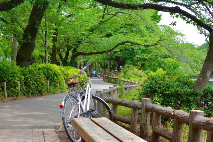 武蔵野市の公園とレンタサイクルの自転車