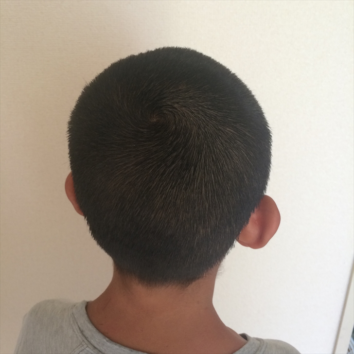 不器用でも年間散髪代を10 400円節約 お母さんができる小学生男子の髪の毛をバリカンで切る方法 ノマド的節約術
