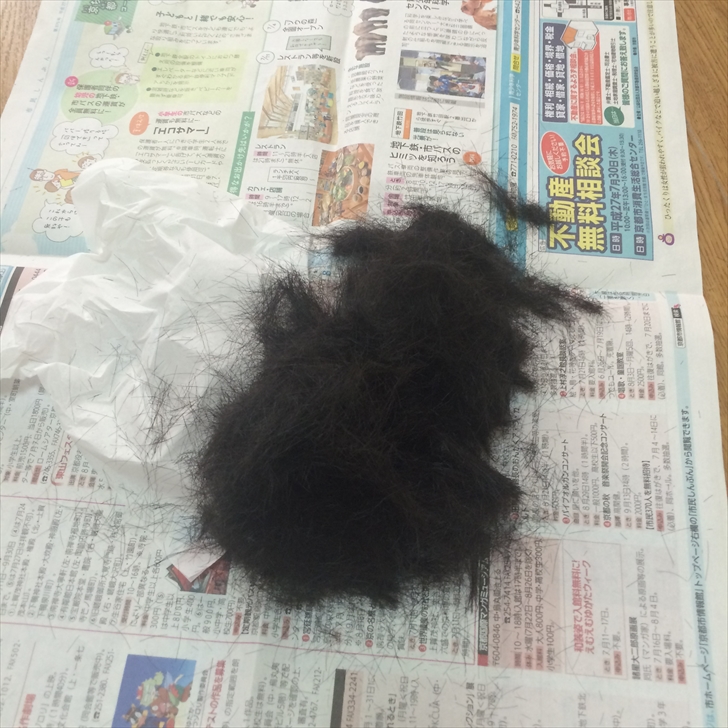 カット後の髪の毛