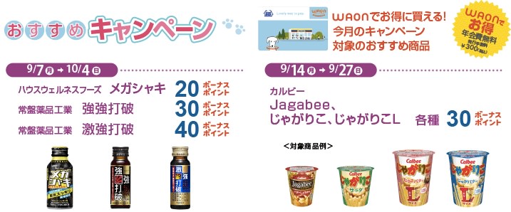 ミニストップのWAONポイントキャンペーン