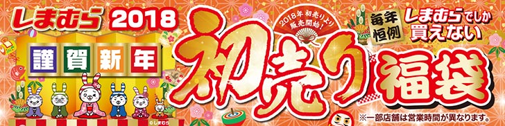 ネタバレあり しまむらの21年福袋の中身は チラシ情報 発売日や過去の内容について ノマド的節約術