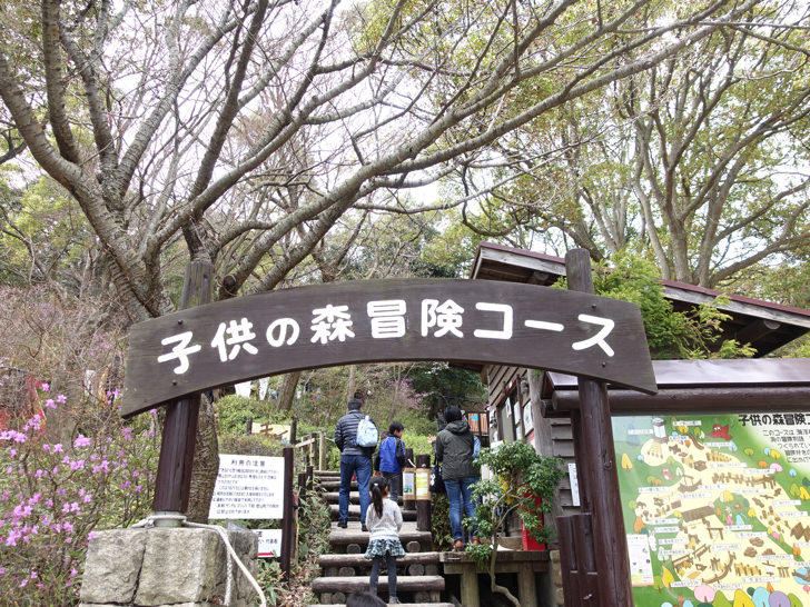 須磨離宮公園の入園料金を割引クーポンで安くする方法 駐車場情報 アクセス方法を徹底解説 ノマド的節約術