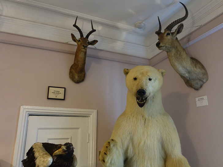 北野異人館 ベンの家