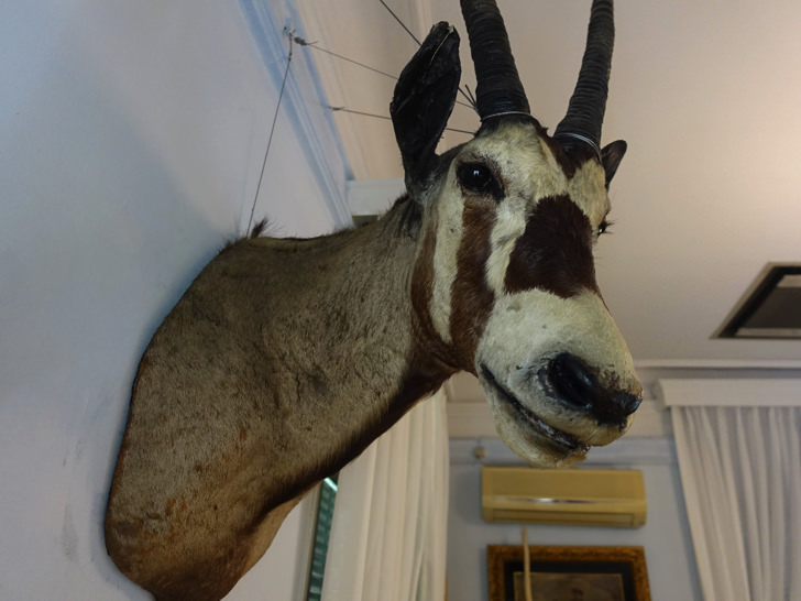 北野異人館 ベンの家