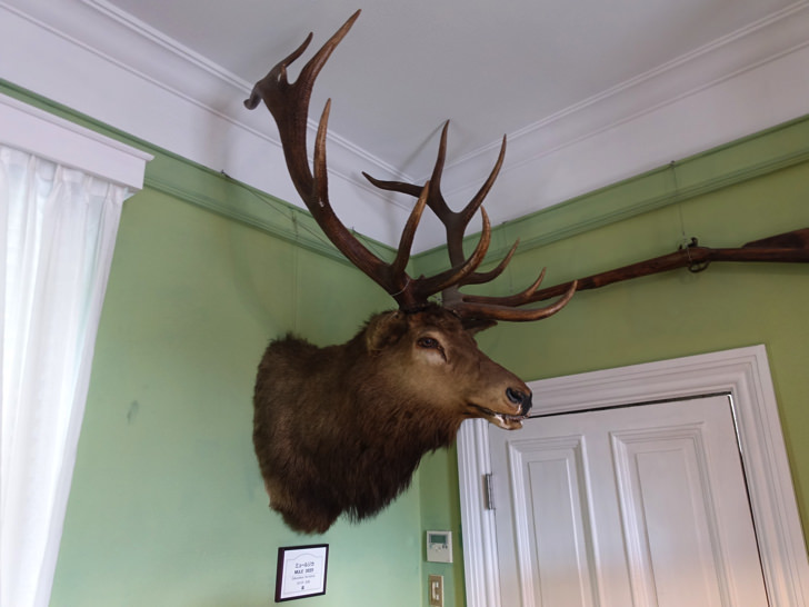 北野異人館 ベンの家