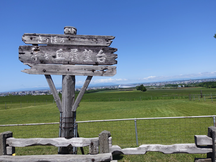 羊ヶ丘展望台の景色