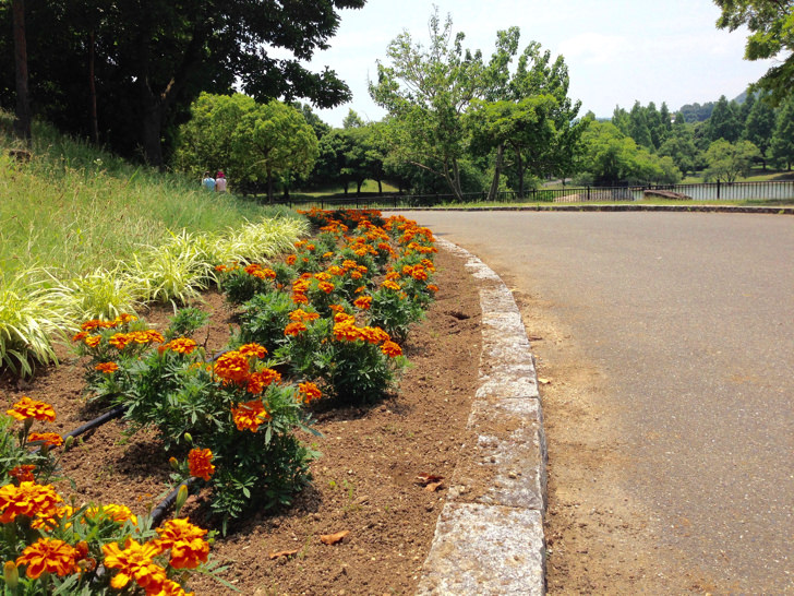 蜻蛉池公園の植物園と池