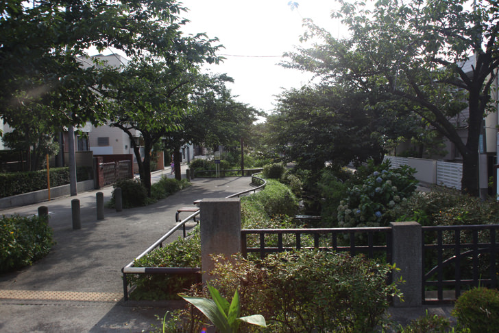 北沢川緑道