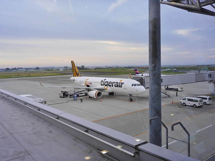 タイガーエアの飛行機