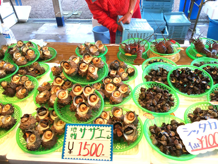 神奈川県 三崎の朝市でおすすめの過ごし方とお得な朝食を楽しむ方法 ノマド的節約術