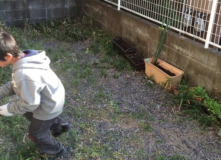 草むしりをする子供