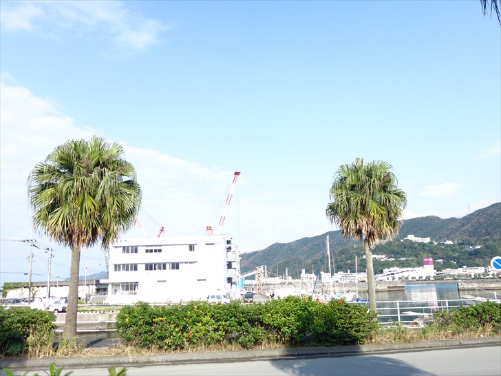 奄美大島の風景