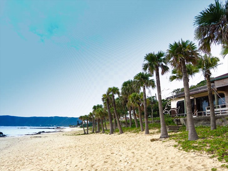 奄美大島の浜辺