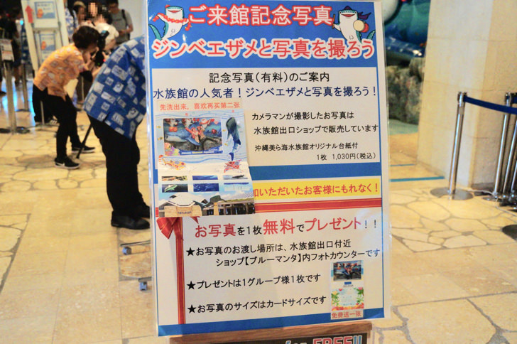 美ら海水族館のチケット料金を割引クーポンで安くする方法 駐車場やアクセス情報のまとめ ノマド的節約術