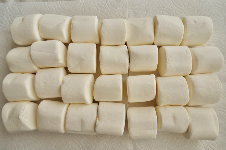 コストコのキャンプファイヤー ジャイアントロースターマシュマロ(入り数)