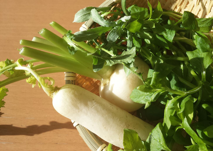1~2月野菜