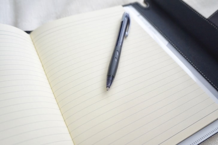 コストコのプチデコラッシュ(手帳)