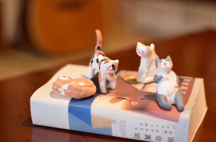 ねこと宮台真司さんの本