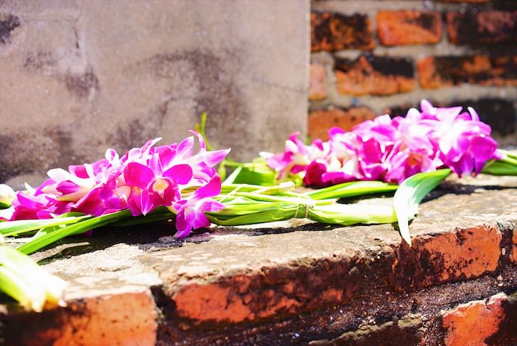 伊佐知美の世界一周とお金の話