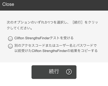 ストレングスファインダー　続行画面