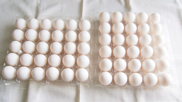 コストコの白たまご Mサイズ 60個入り(60個入り)