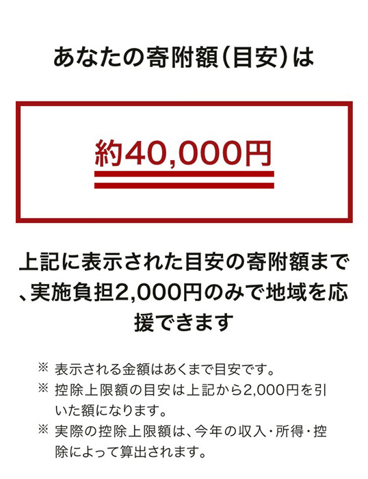ふるさと納税　控除上限額シュミレーション　結果