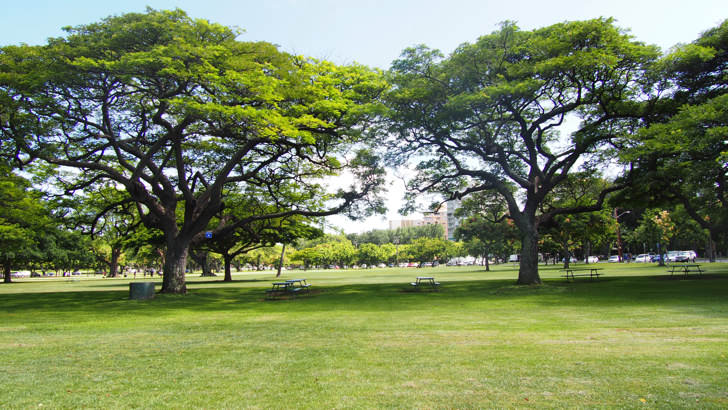 ハワイ・オアフ島にあるカピオラニ公園(公園にある自然)