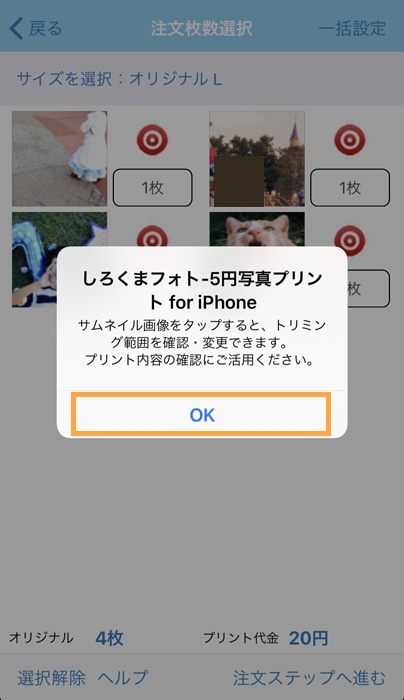 しろくまフォトの評判 口コミは アプリの使い方や注文方法 料金 届くまでの日数まとめ ノマド的節約術