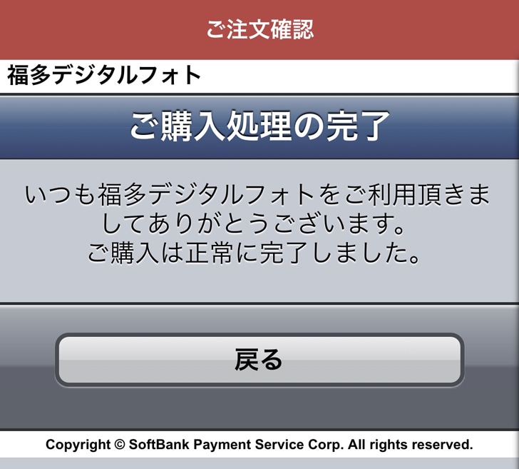 vivipri 購入処理の完了