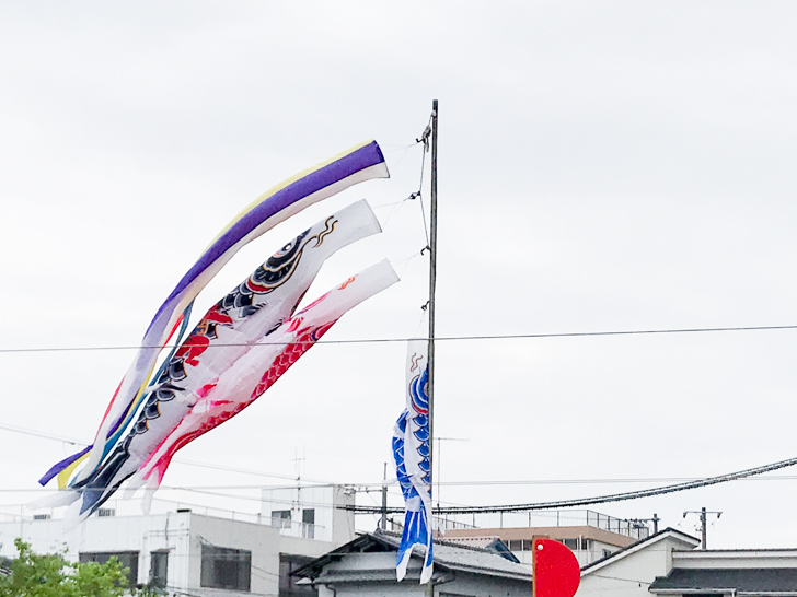 鯉のぼりはいつから出していつまであげる 意味や由来 飾り方まとめ 記念日のしおり