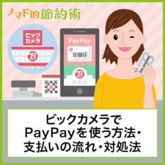 ビックカメラのポイントとPayPay(ペイペイ)は併用できる？ポイント還元率も解説