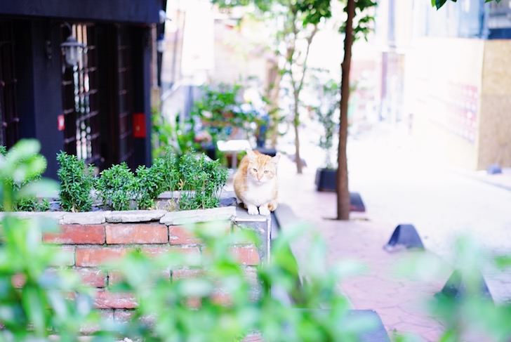 トルコ・イスタンブール