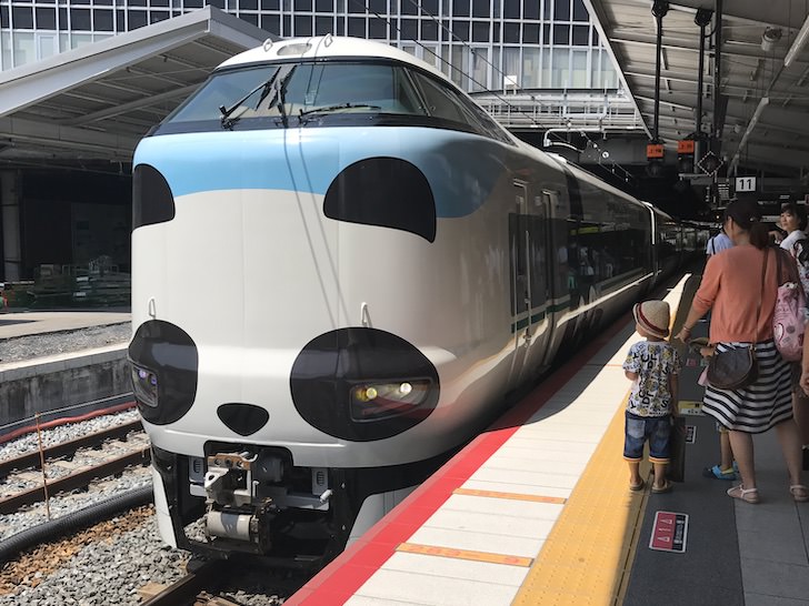 特急くろしお(パンダ)